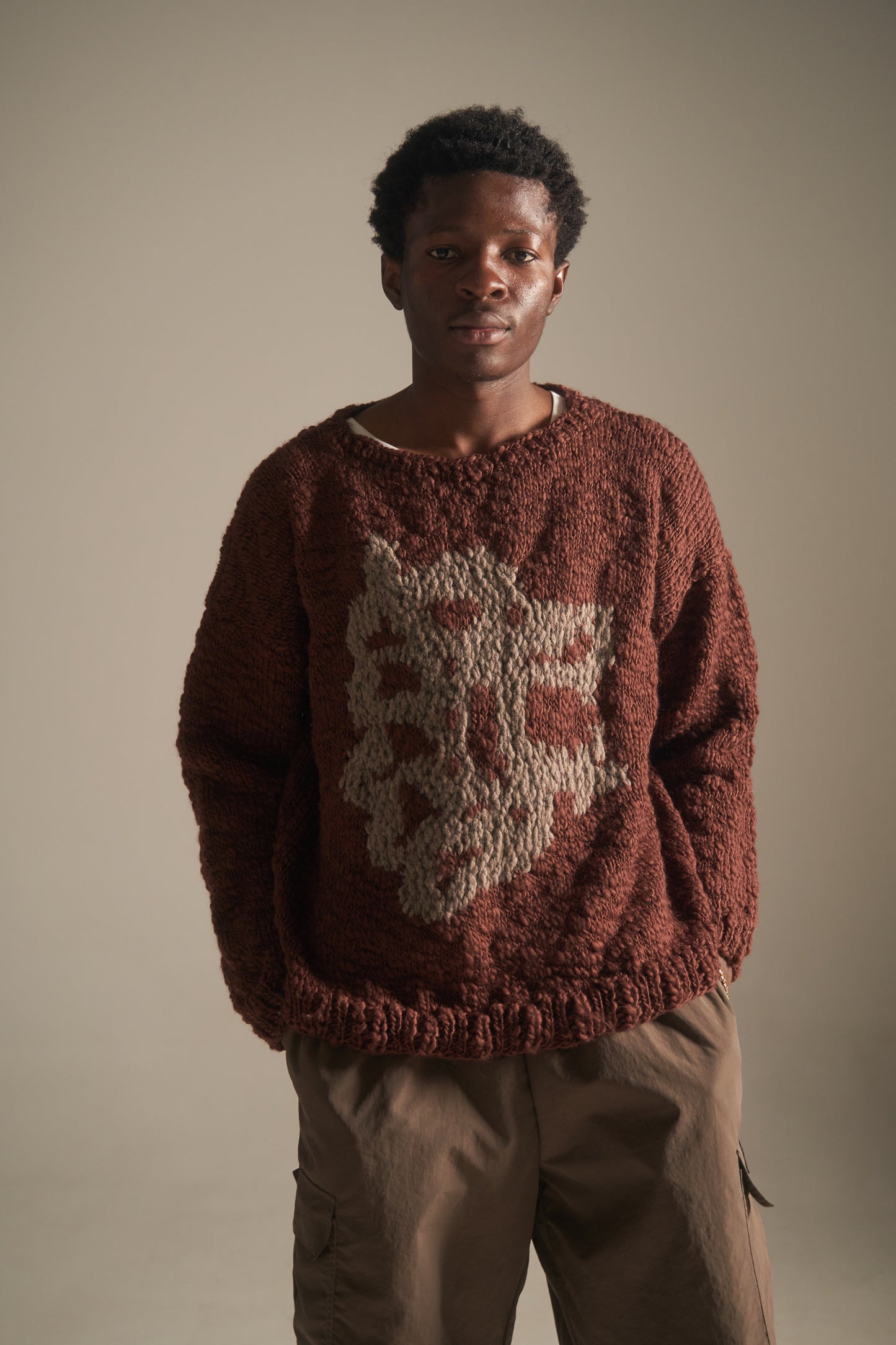 Lion Head Pullover in brown